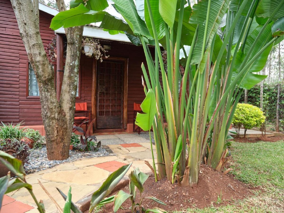 מלון ניירובי The Drexel House Kenya מראה חיצוני תמונה