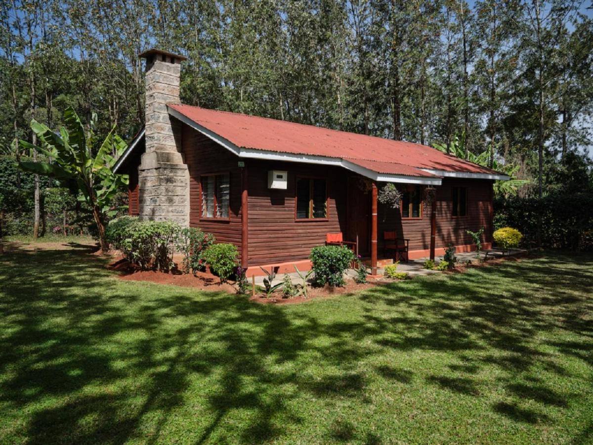 מלון ניירובי The Drexel House Kenya מראה חיצוני תמונה